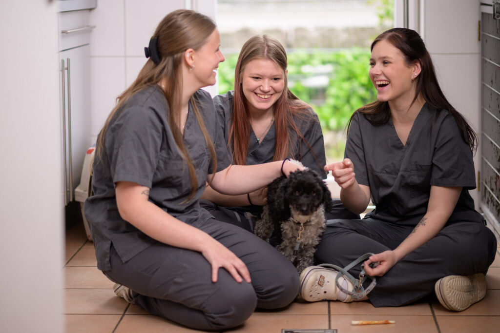Drei TFAs sitzen mit einem Hund auf dem Boden und lachen