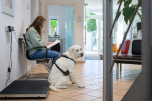 Wartende Frau sitzt mit weißem Labrador an der Leine