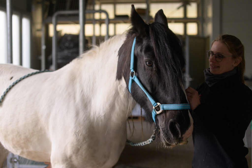 80-Tierärztin-mit-Pferd-Tierärztliches Zentrum Pfedelbac Tierärztin mit Pferd