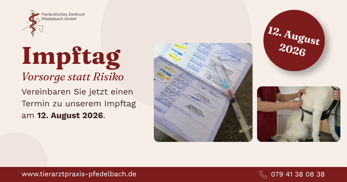 Impftag am Mittwoch, 12.08.2026