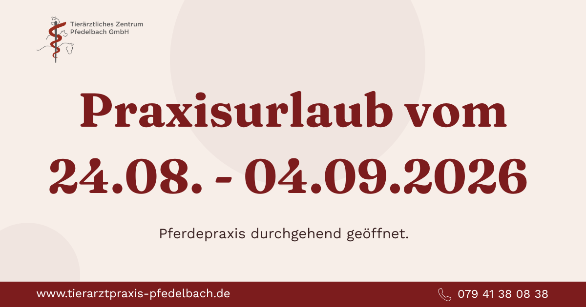 Kleintierpraxis geschlossen vom 24.08. – 04.09.